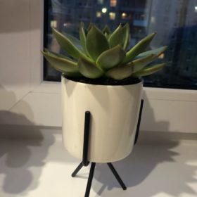 Nordic Iron Frame Flowerpot photo review